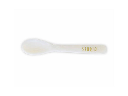 Mother-of-pearl spoon (M)